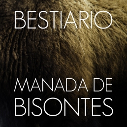 BESTIARIO - Manada de Bisontes